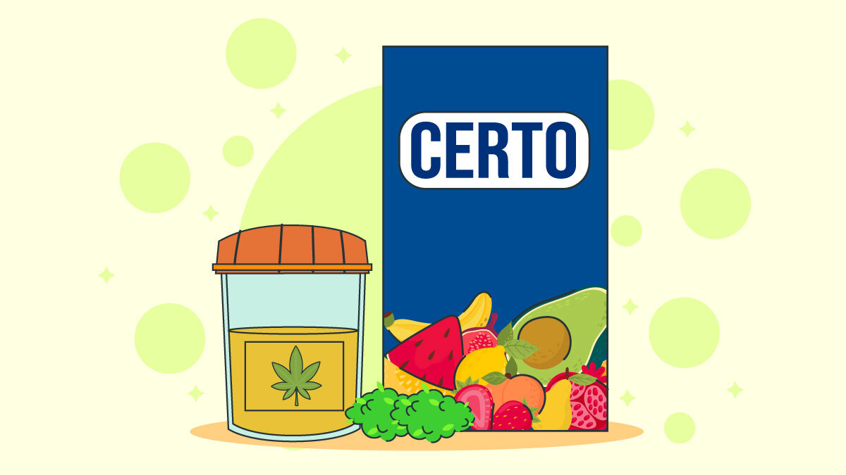Illustration of How to Do Certo Detox
