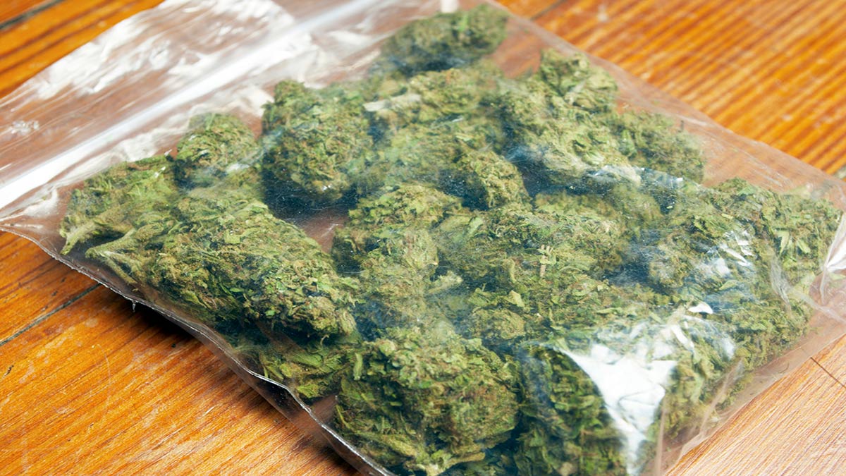 Image of Weeds Inside a Plastic Bag