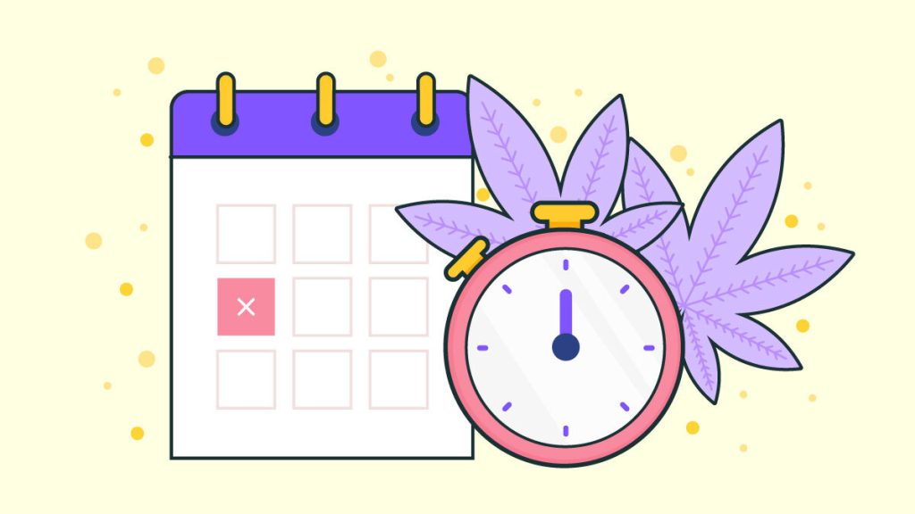 Does Weed Expire & How Long Does It Take For Marijuana To Go Bad