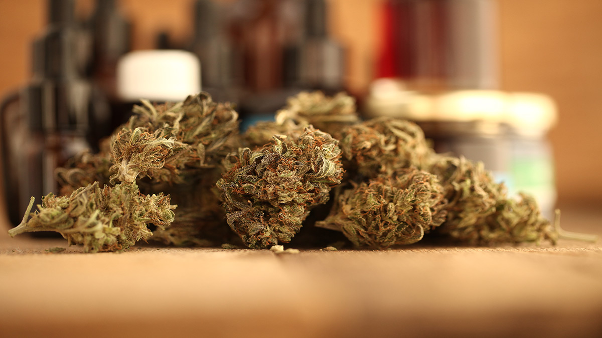 marijuana buds lying on a flat surface
