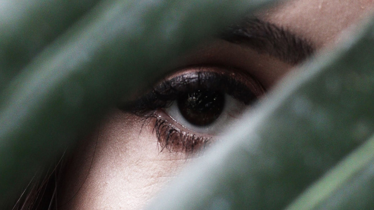 image of an eye zoomed in with leaves in front