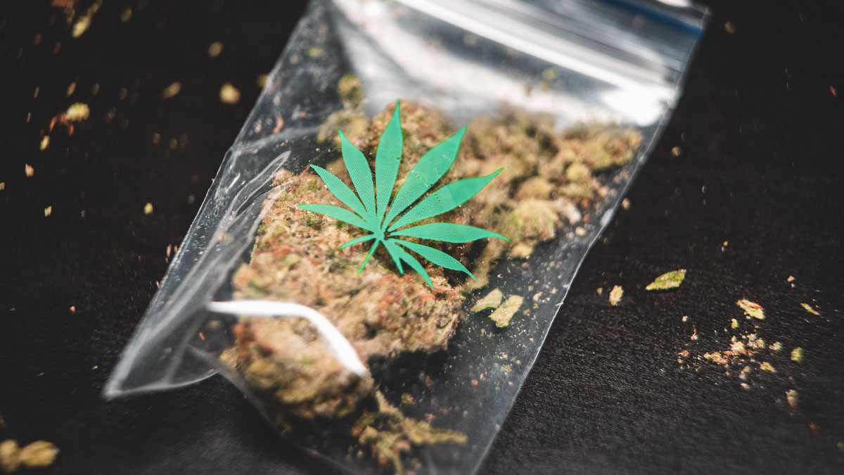 image of a bag of marijuana