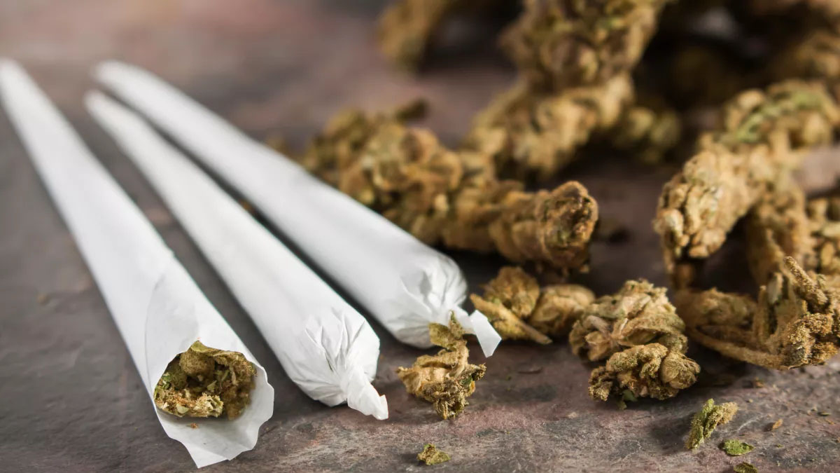 Image of Marijuana Joint and Buds