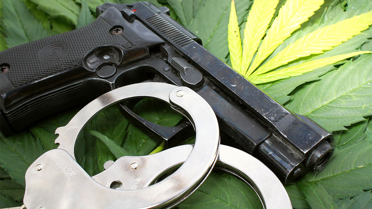 Image of Gun and Cuff on Hemp Leaves