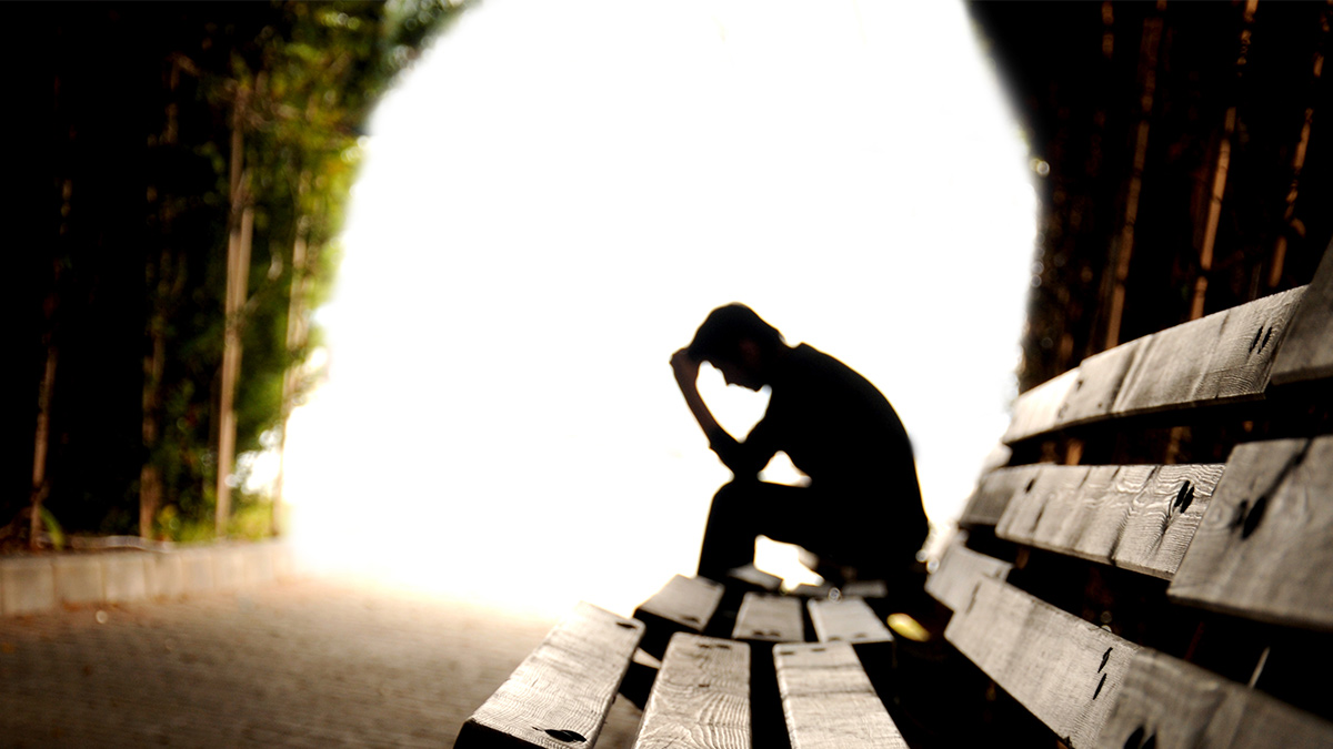 Image of a guy sitting on a bench in a forest