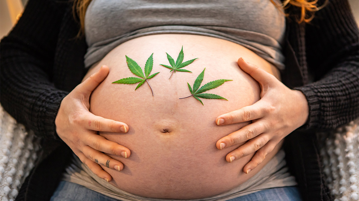 Image of a Pregnant woman holding her tummy with hemp leaves on it