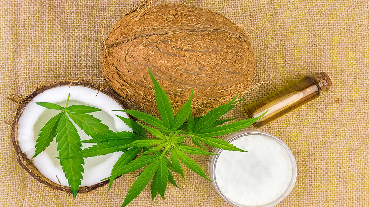 Image of Coconut oil and Hemp leaves