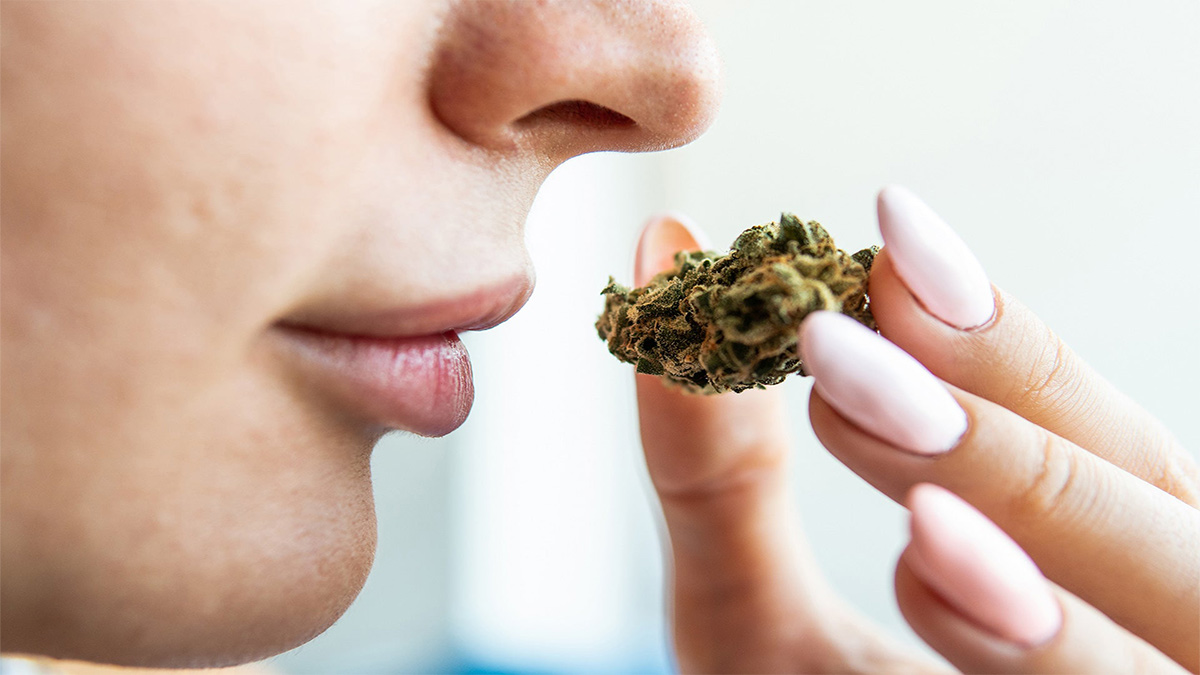 Image of woman smelling and about to eat weed