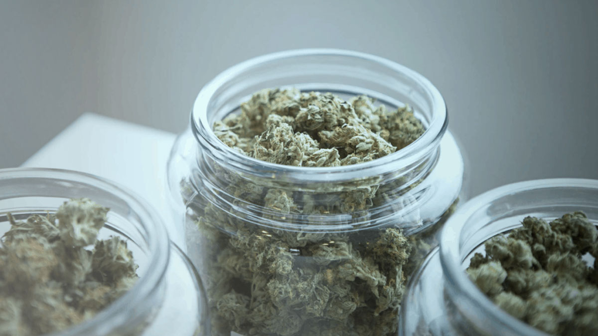 Weed stored in Glass Jars