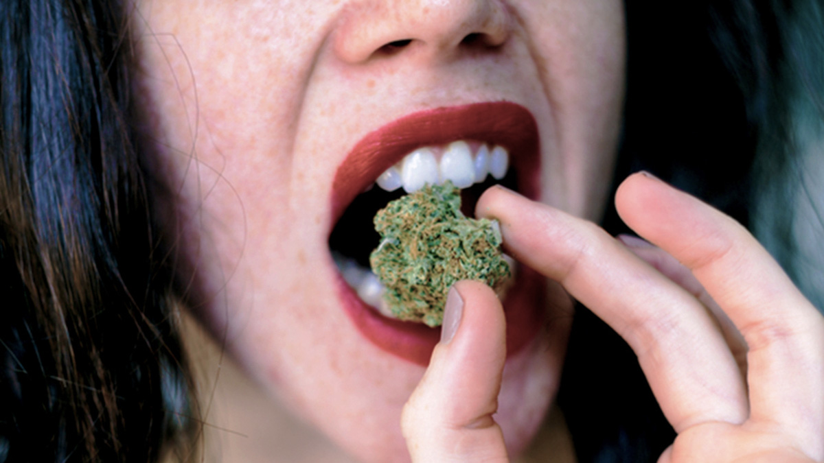 Woman Holding Weed Buds towards her mouth