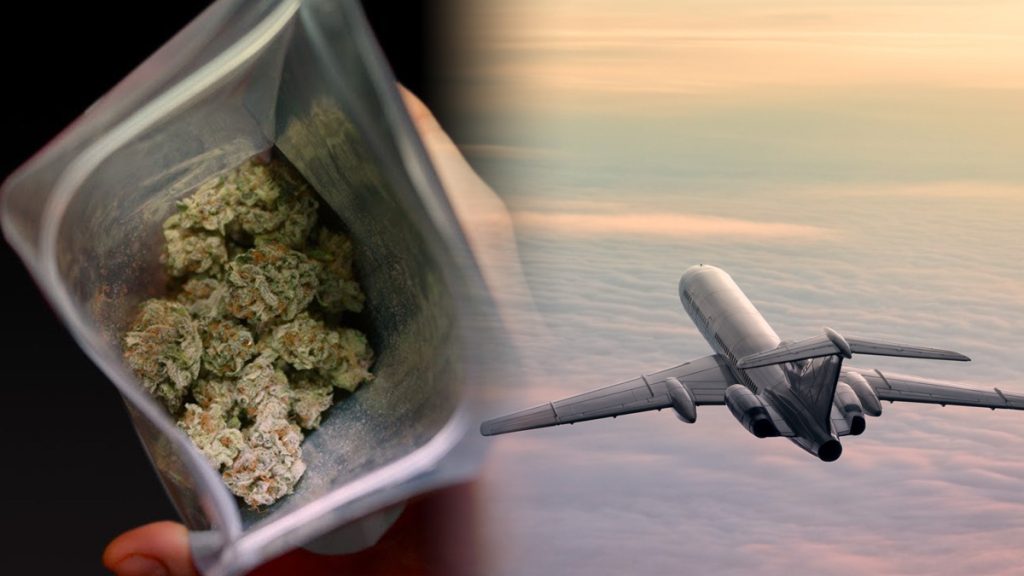 Flying with Marijuana Can You Bring Weed On A Plane?