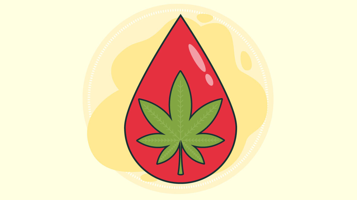 Illustration for Can You Donate Blood I You Smoke Weed