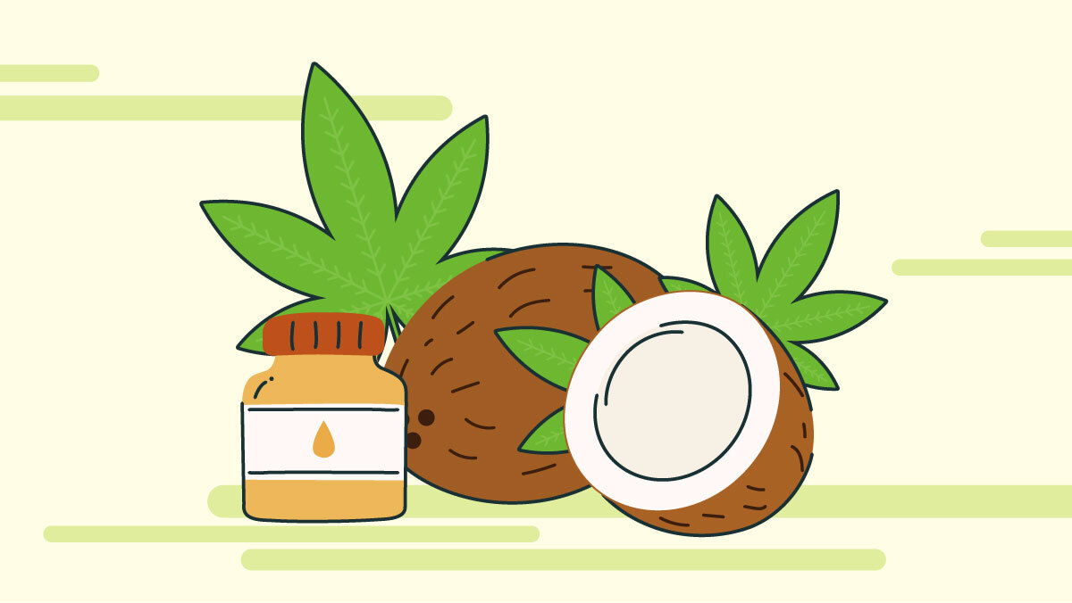 Illustration for How to infuse Coconut with Cannabis
