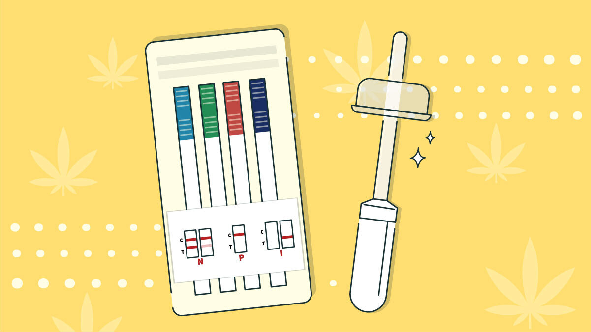 Illustration for how far back does an oral drug test detect weed