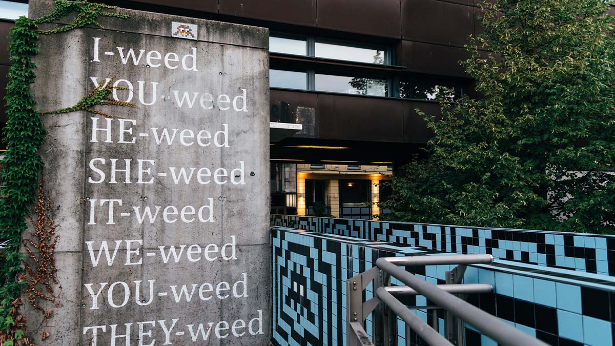 Weed sayings on a concrete wall