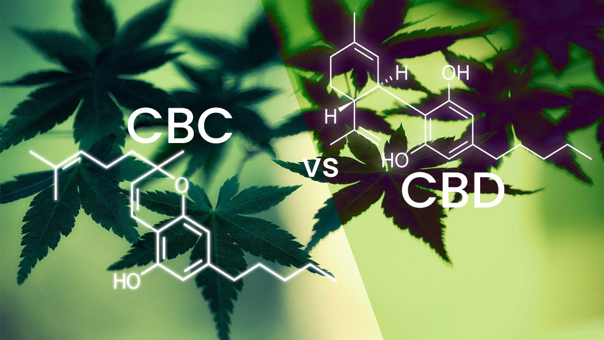 CBC and CBD's chemical structure differences