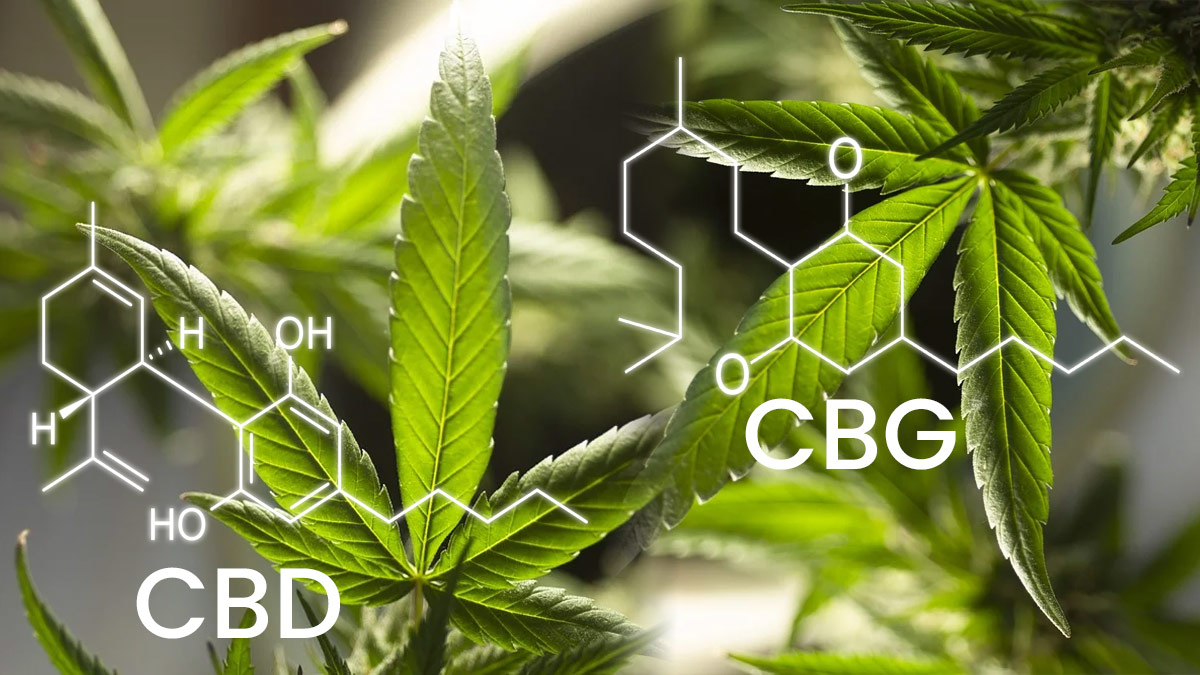 CBD and CBG chemical structure comparison