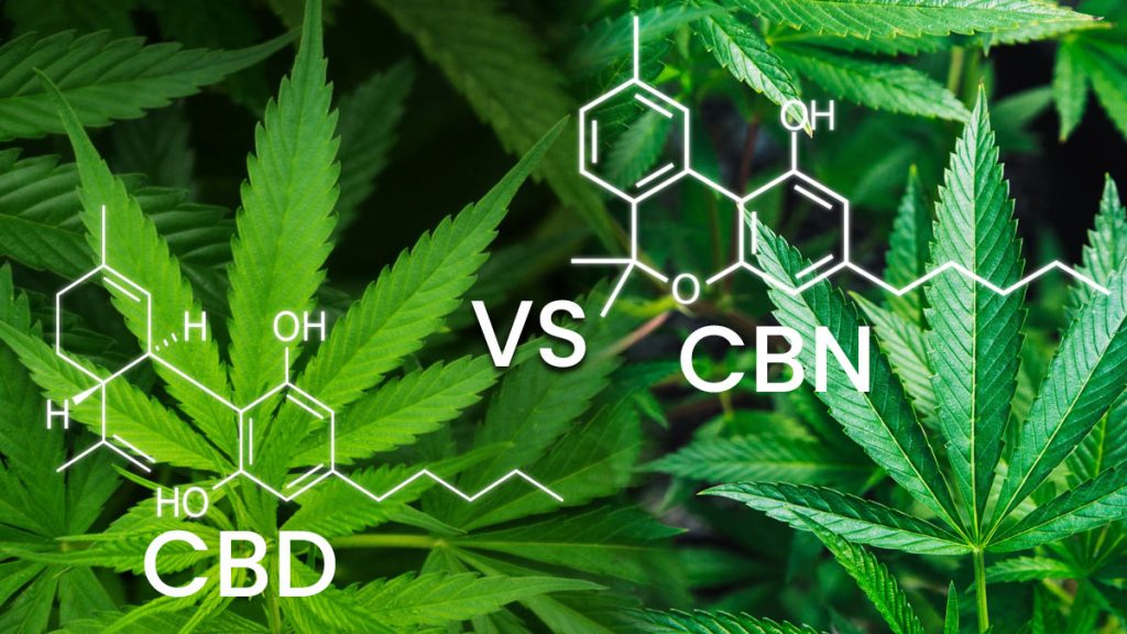 CBD Vs. CBN: Are They The Same? Can Either One Get You High?