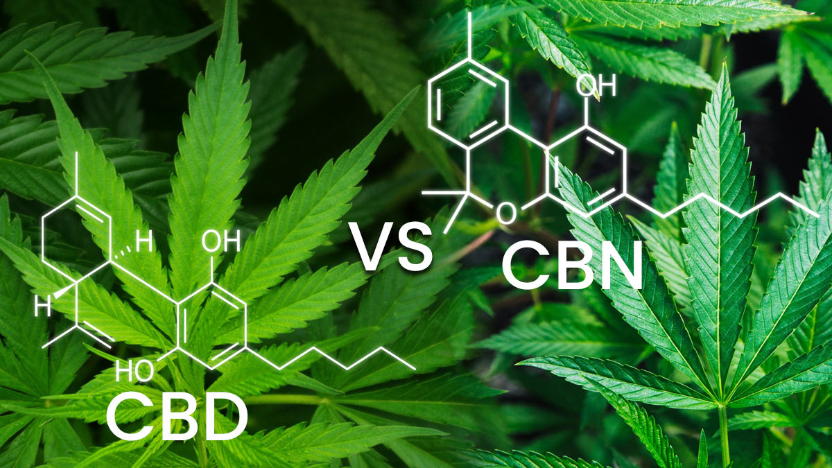 CBN and CBD chemical structure comparison