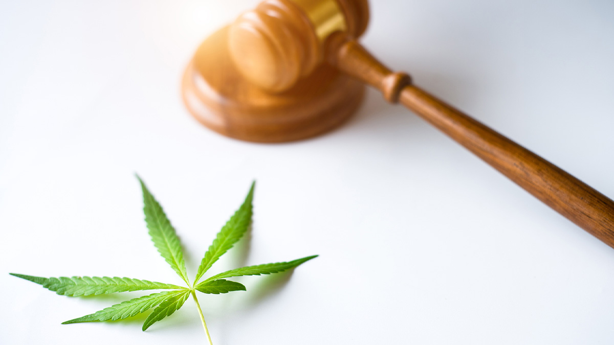 A marijuana leaf and a gavel to represent legalizing weed