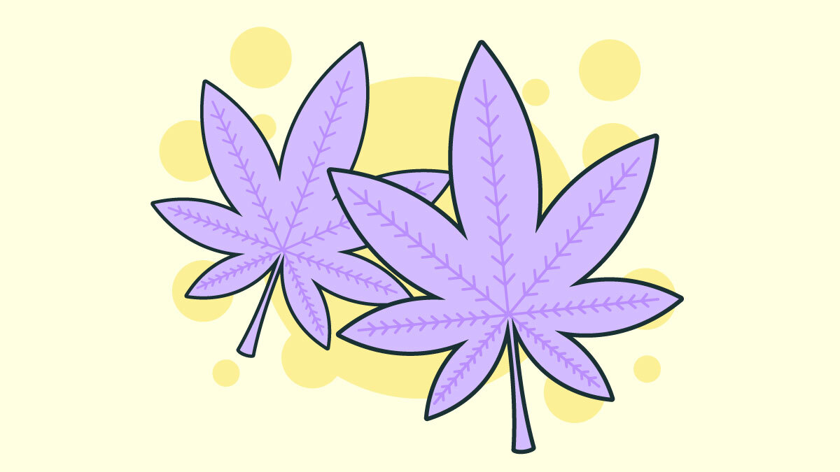Illustration for Purple Weed
