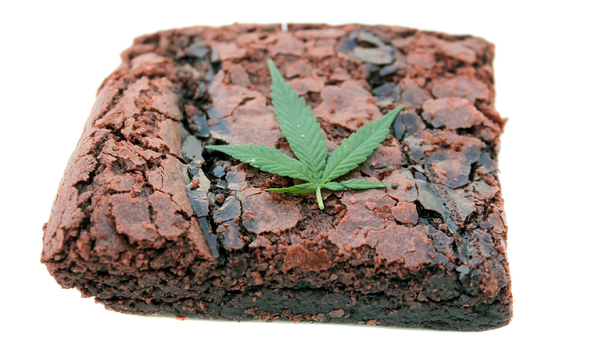 Strong brownie marijuana edible with cannabis leaf garnish