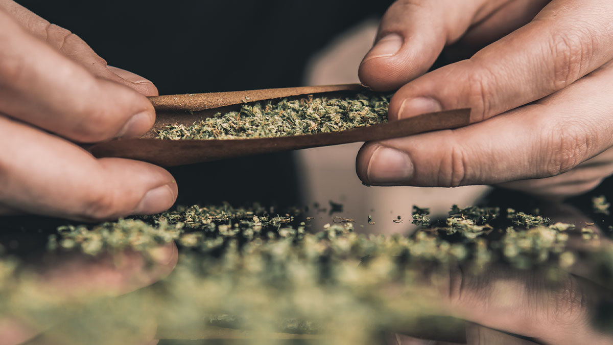 A close up of a man rolling a blunt.