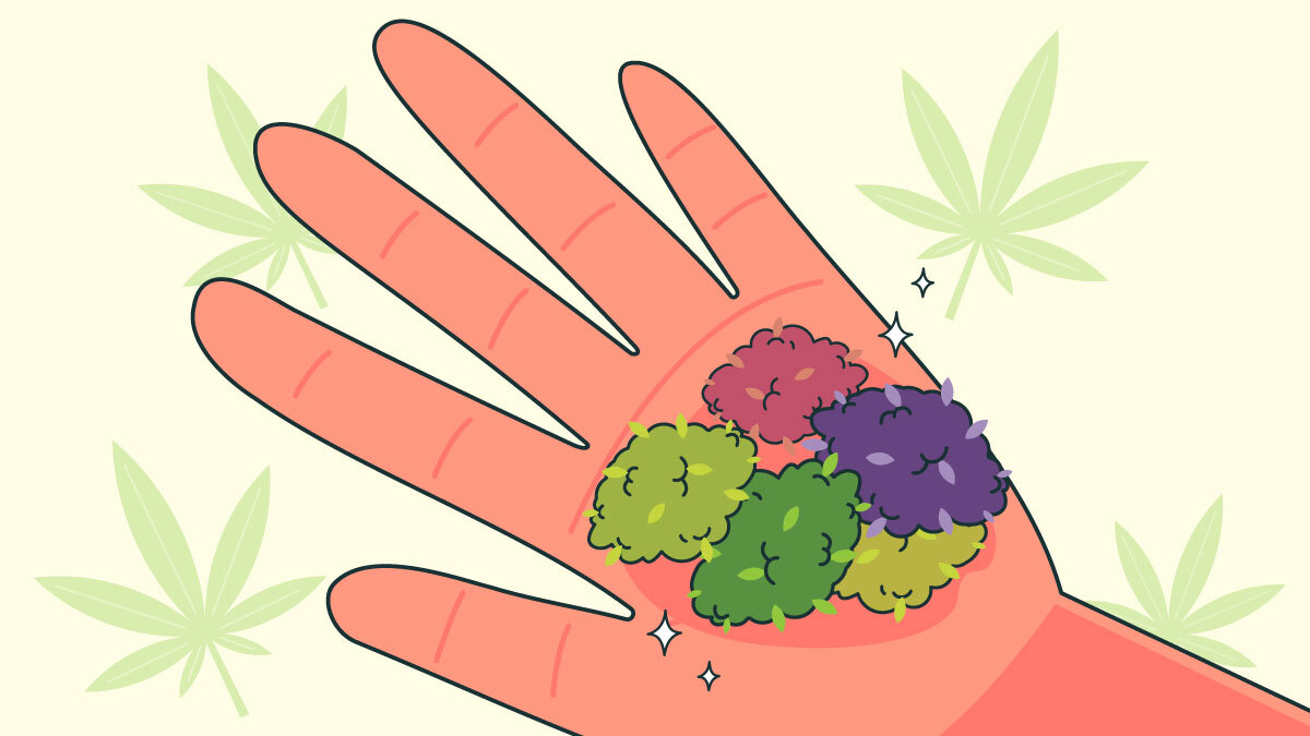 Illustration for What is Colored Weed