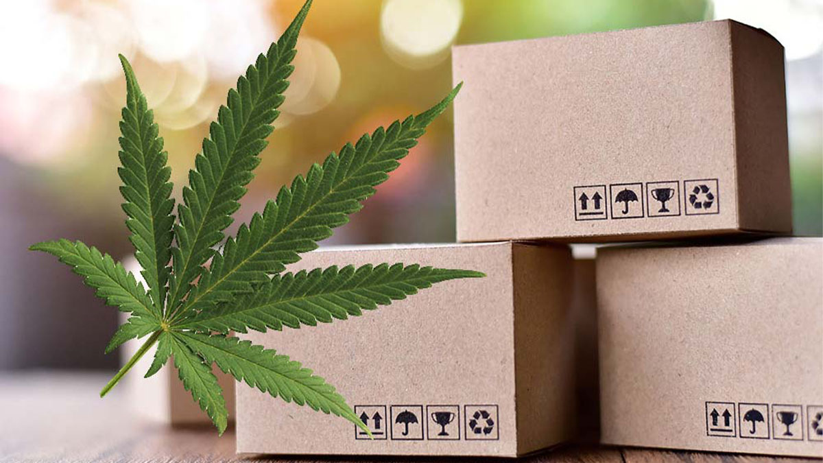 3 boxes of marijuana package with a marijuana leaf.