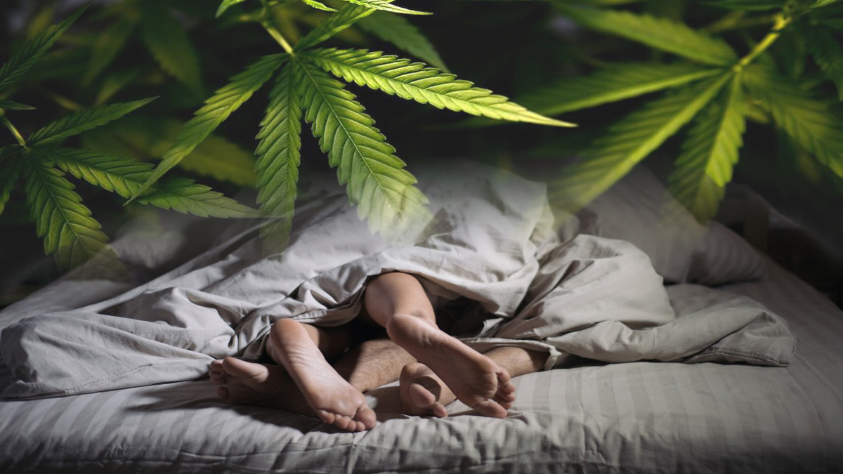 Two couples in bed and marijuana plant