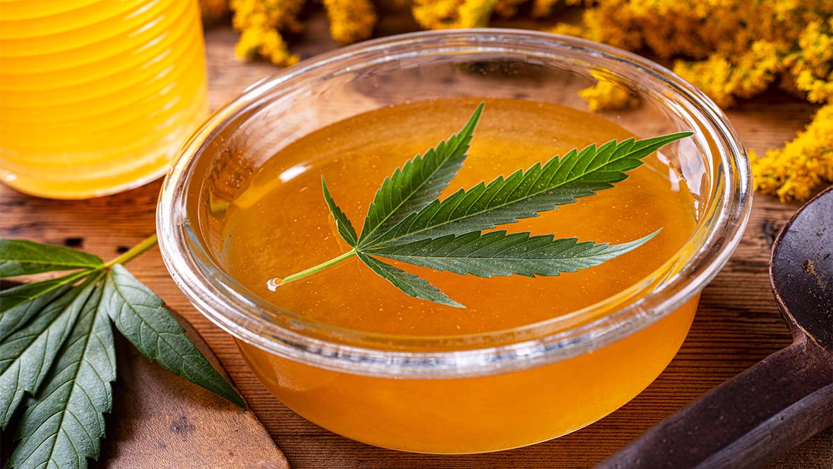 Image of Hemp leaf on top of Bowl with Honey