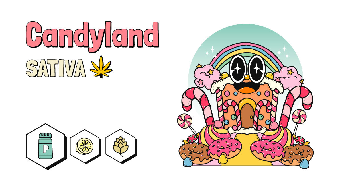 Illustration of Candyland cannabis strain in white background