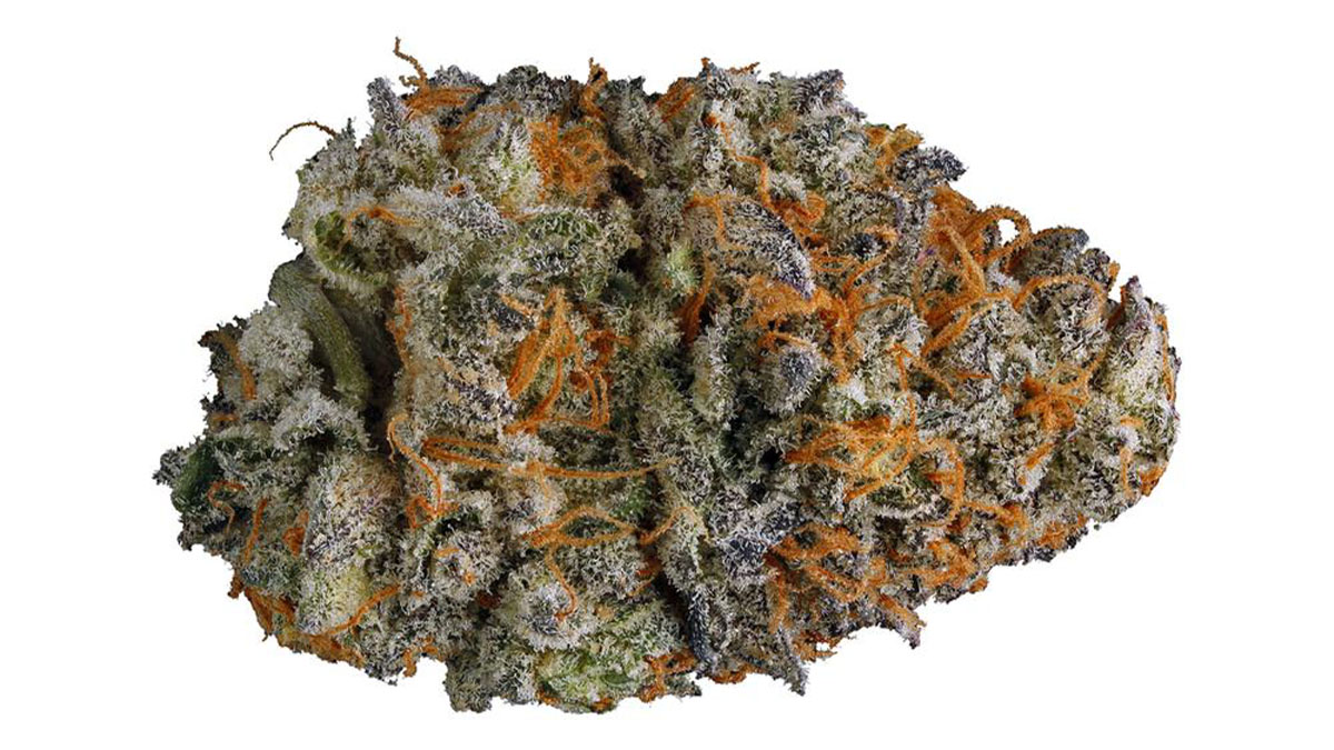 Mendo Breath strain bud in white background.