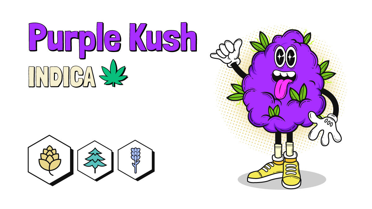 Purple Kush Strain illustration