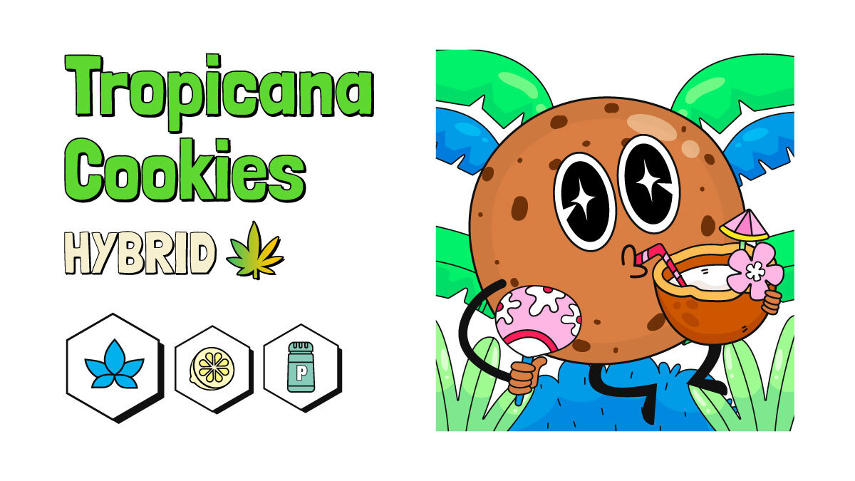 Tropicana cookies strain