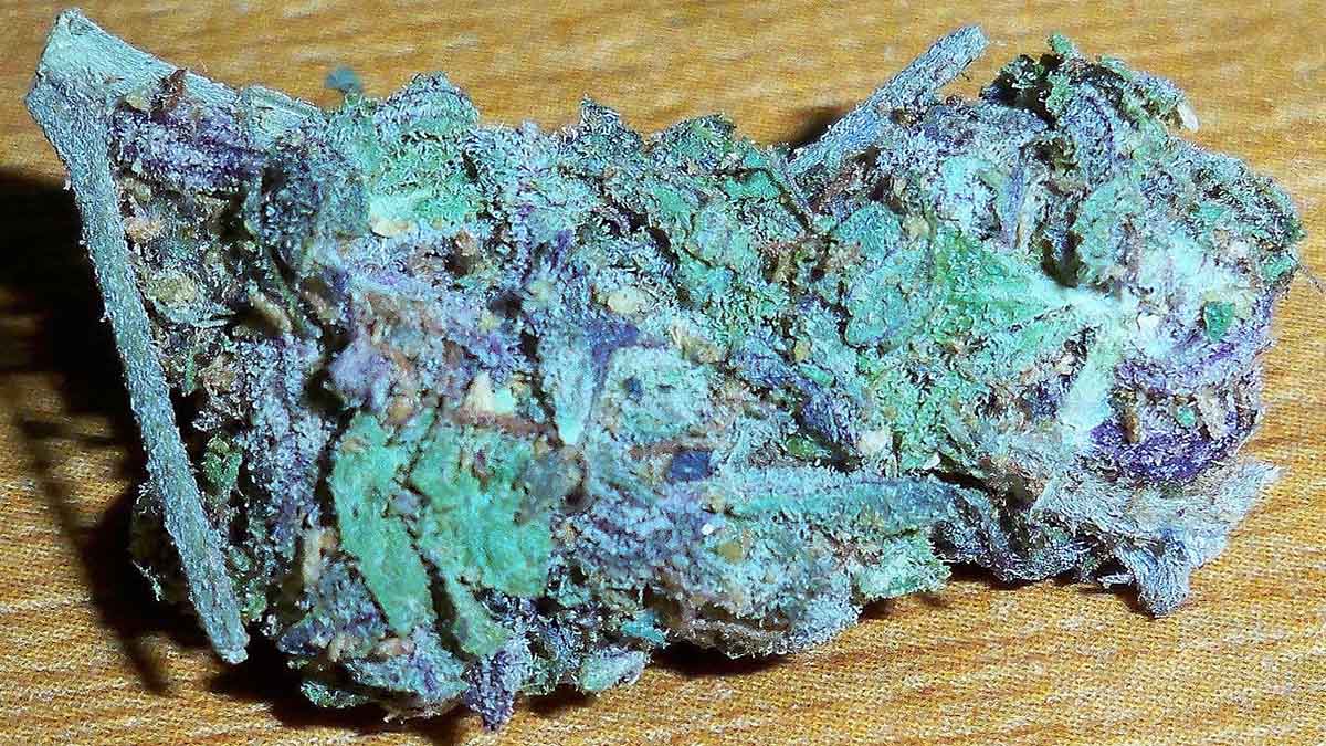 Image of Blue Dream Strain in a wood surface