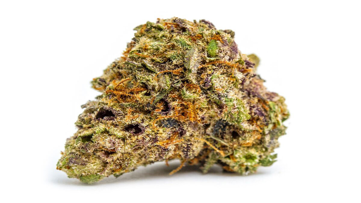 Image of GG4 Strain in white background
