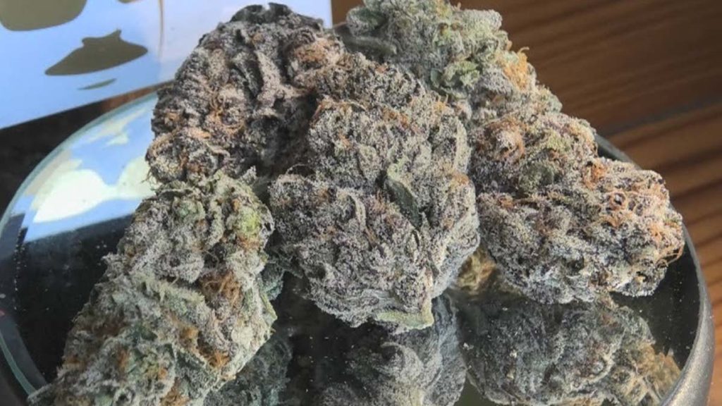 Ice Cream Cake Strain Review Information Rolling Paper   Ice Cream Cake Strain Review 1024x576 