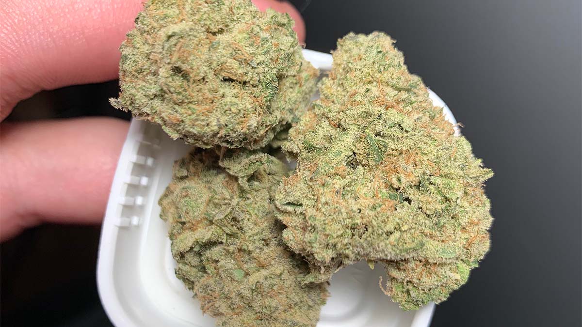 Image of fingers holding lava cake strain in a container