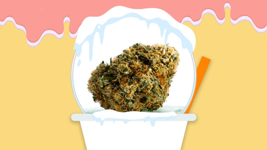 Italian Ice Strain Information & Review