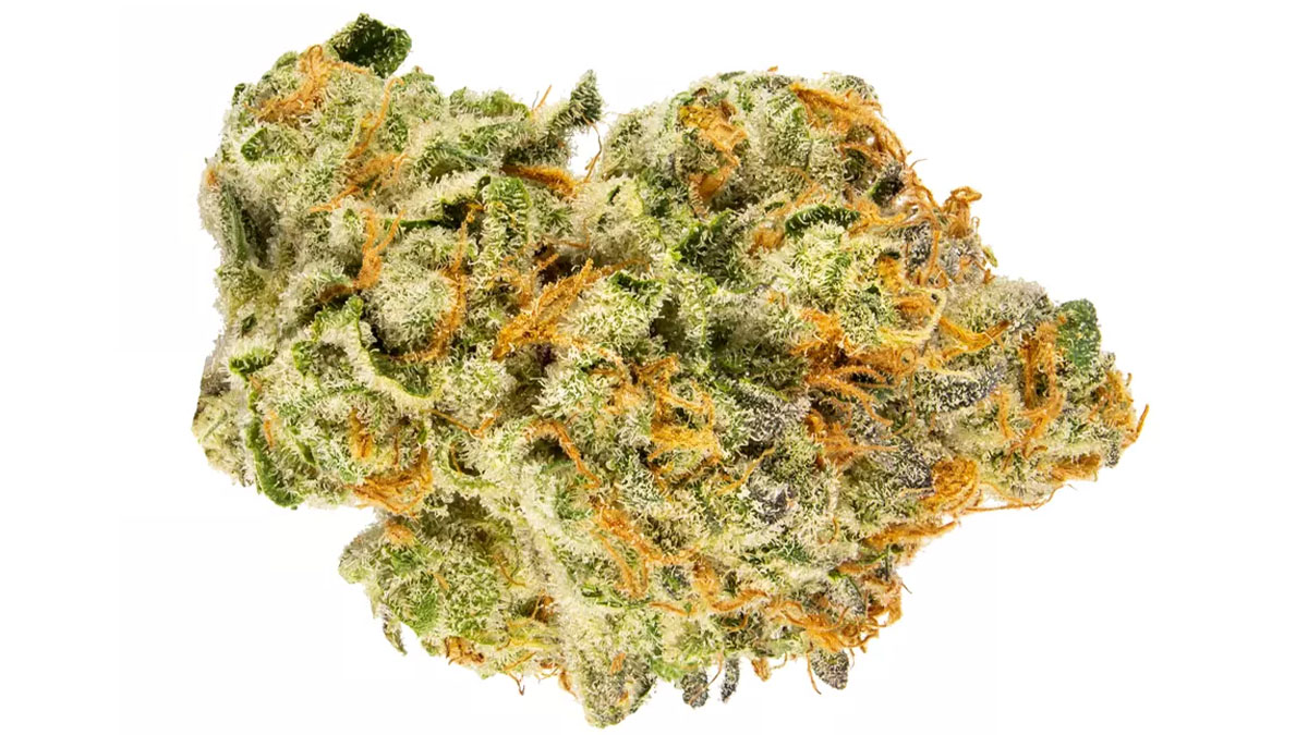 Close up of MAC strain in white background