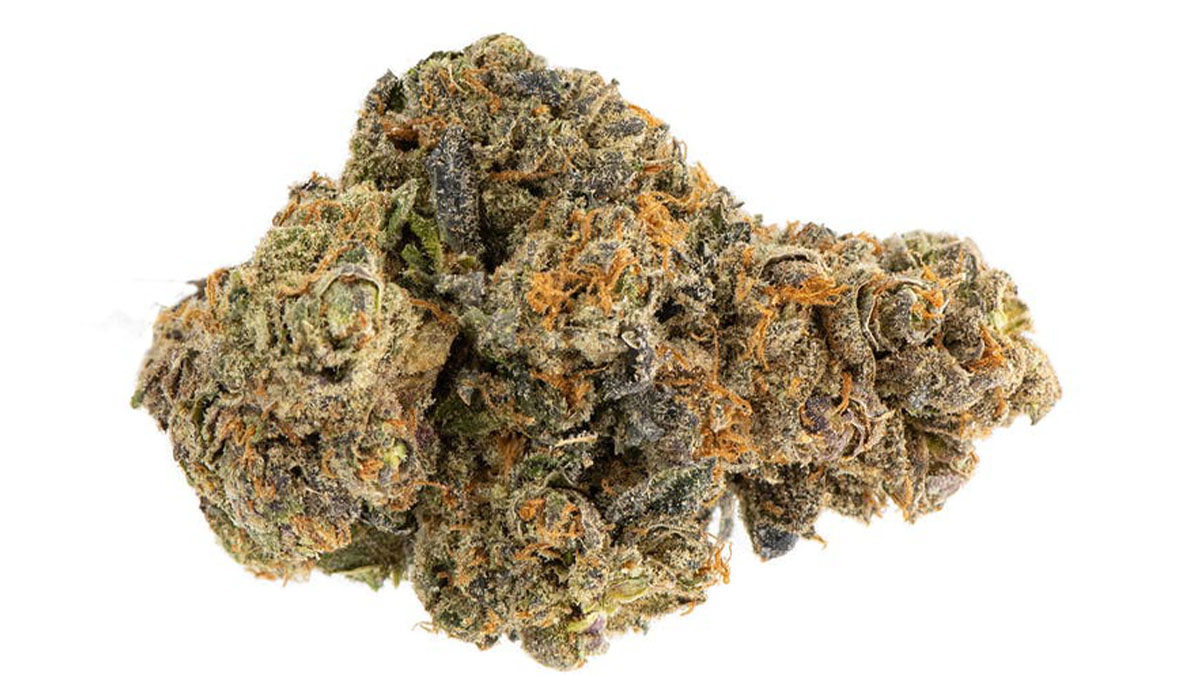 A bud of Oreoz cannabis strain in white background