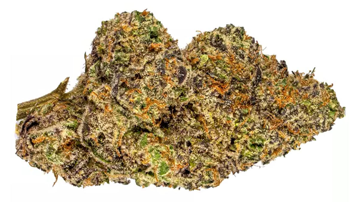 A bud of Pink Runtz cannabis strain in white background