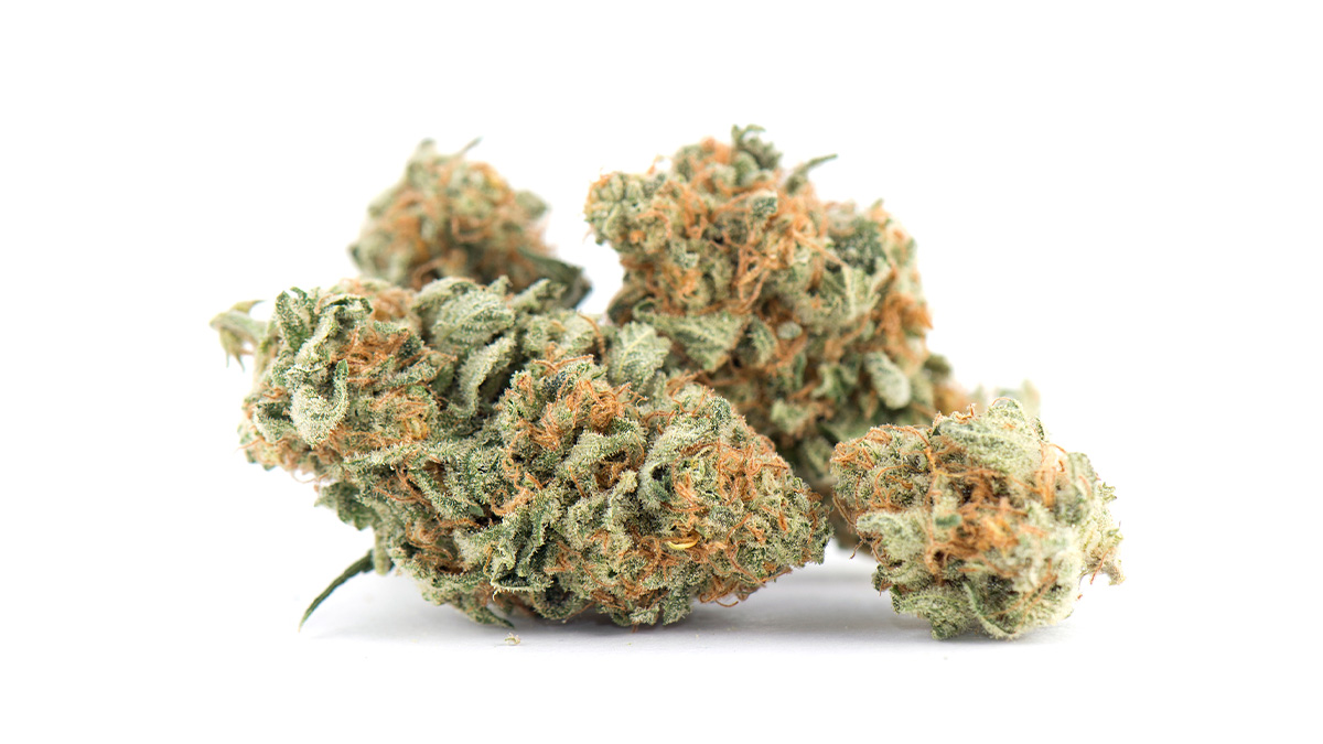 Image of Sherblato Marijuana Strain in white background