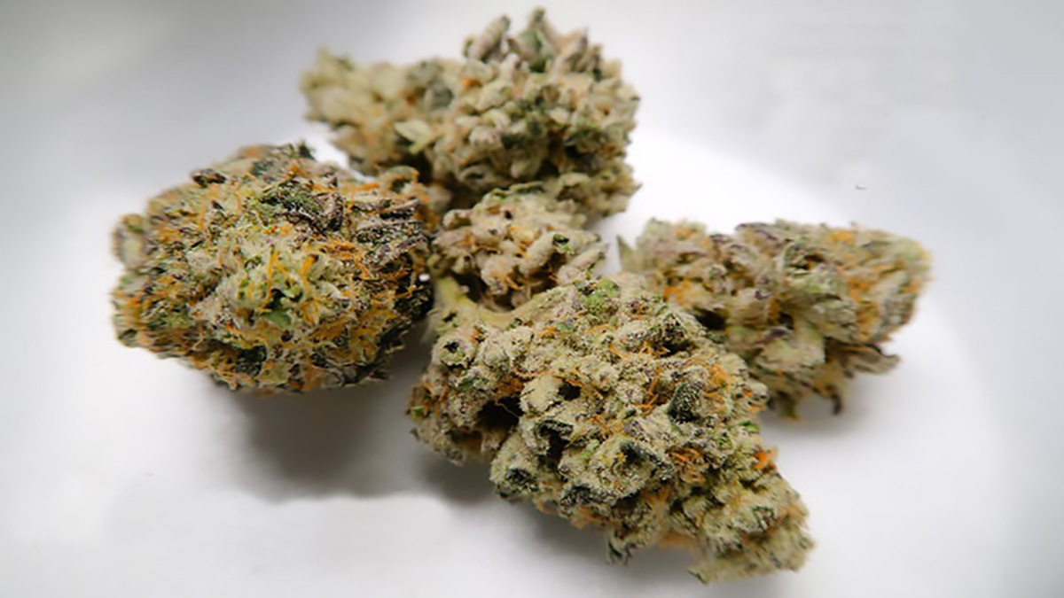 Image of LA Kush Cake Strain Info & Effects