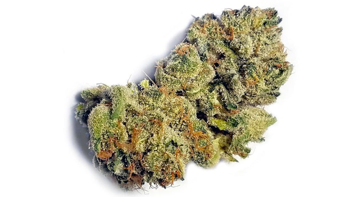 Image of Banana OG Kush Cannabis Strain in white background