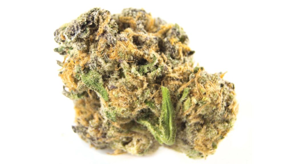 Berry Pie Weed Strain Information & Review