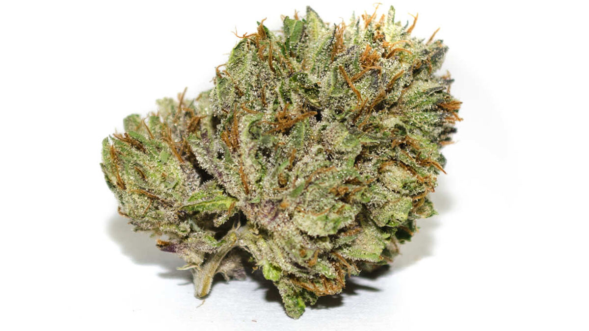 Image of Berry White Marijuana Strain in white background