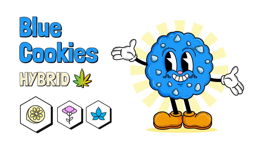 Blue Cookies Strain Information & Review Rolling Paper