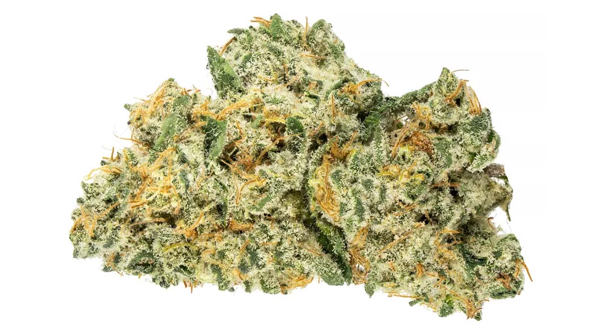 Image of Cake Mix Marijuana Strain in white background